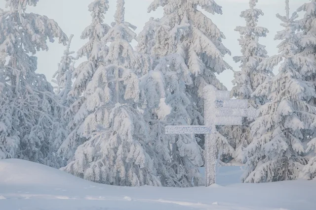 snow, trees, street sign, snowfall, snowing, hoarfrost, conifers, coniferous, conifer forest, white, snowy, snowscape, winterscape, winter, finland, cold, nature, landscape, frost, frozen, wintry, snow, snow, snowfall, snowfall, snowfall, snowfall, winter, winter, finland, finland, finland, finland, finland. Minneapolis vs Chicago winter route planning for couriers